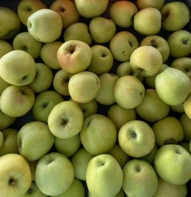 Ginger Gold Apple Display